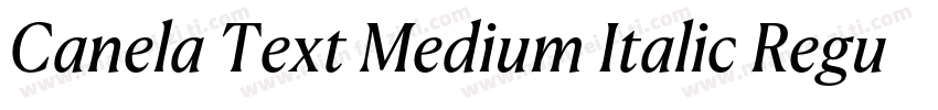 Canela Text Medium Italic RegularVe字体转换